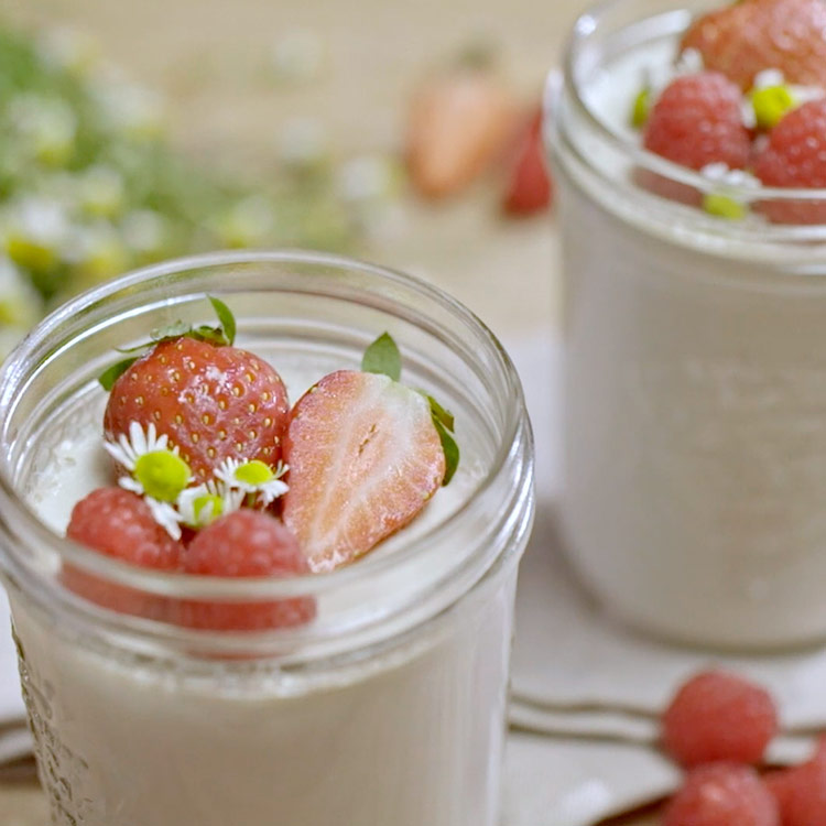 Panacotta de flor de manzanilla
