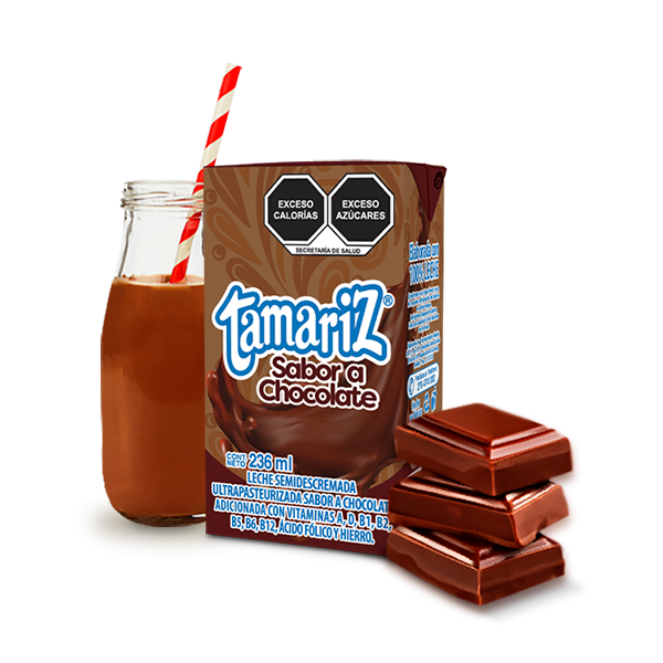 Leche tamariz Saborizada chocolate