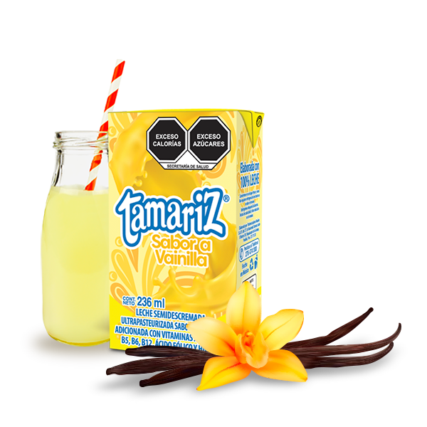 Leche Tamariz Saborizada Vainilla