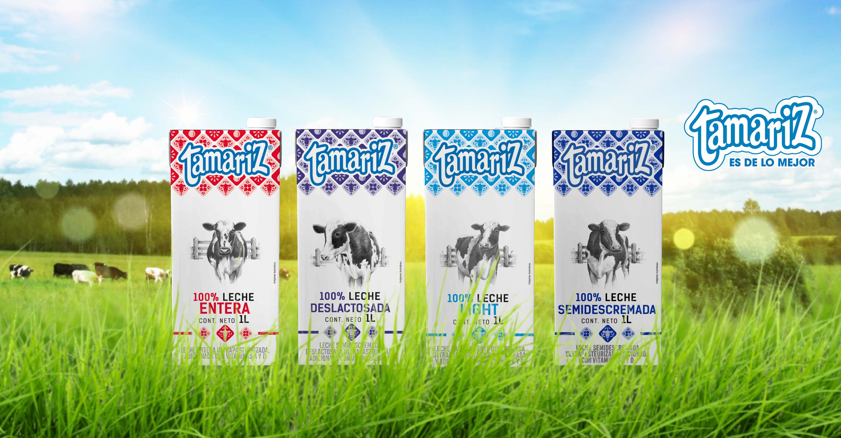 Tamariz productos